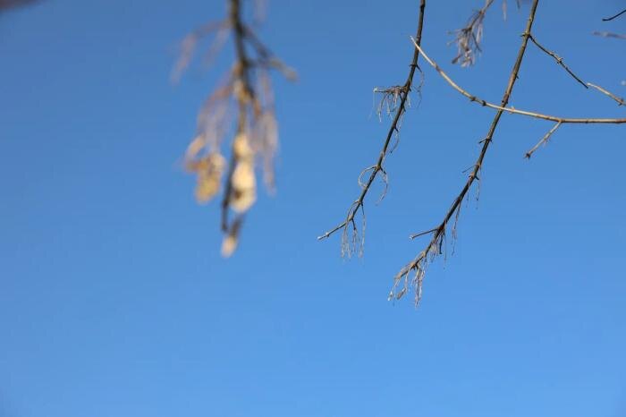 Обложка © Life.ru