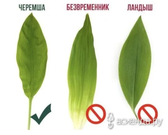 Фото с интернета