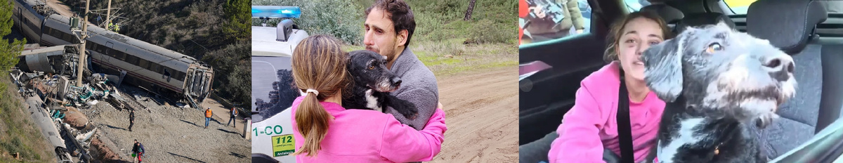 фото: BBC World Service и BBC Russia - Русская Служба