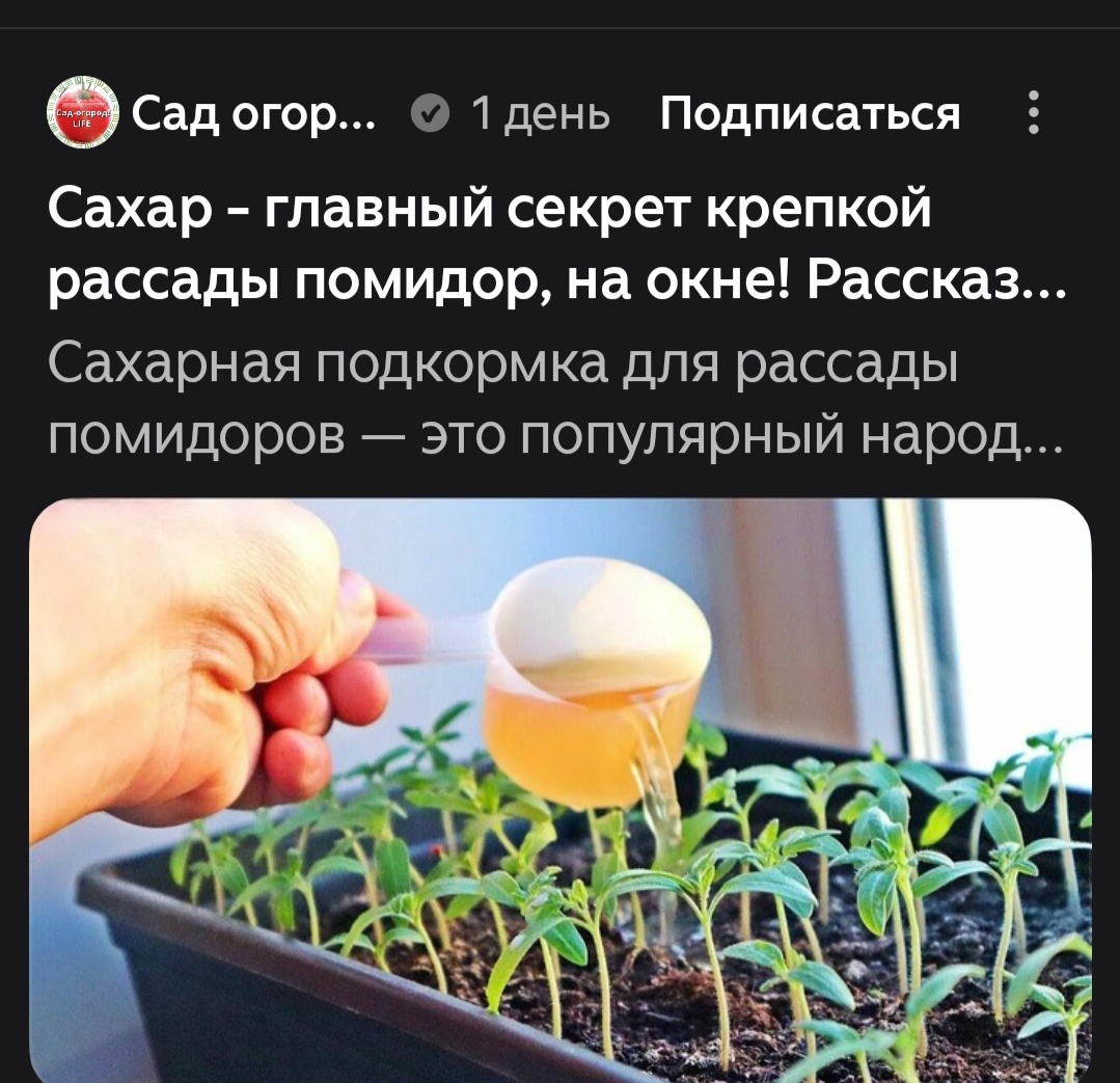 Канал 150 тысяч подписчиков, 4500 дочитываний у этой записи. 35 лайков и ни одного комментария