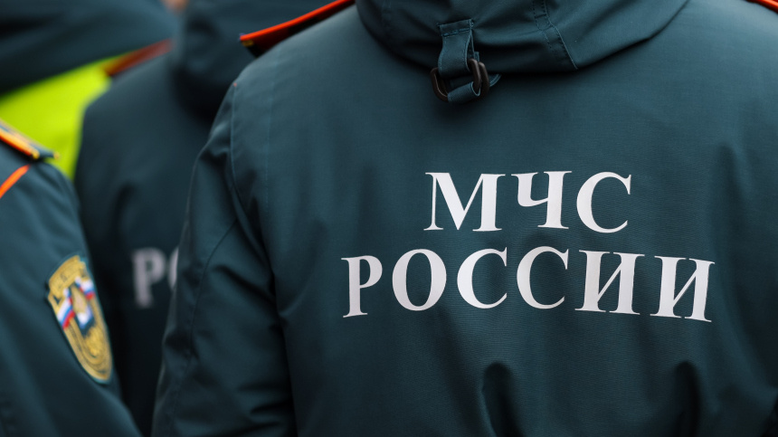    Фото: ИЗВЕСТИЯ/Евгений Павлов; 5-tv.ru