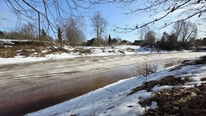 Фото: https://max.ru/lenobladminka/AZzjF0hubP8