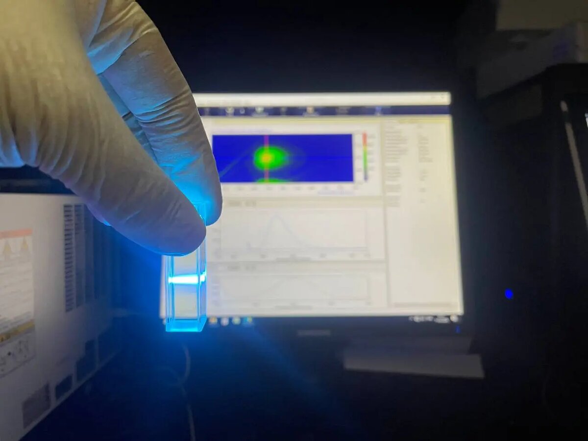    Источник: indicator.ru Ярослава Мухина