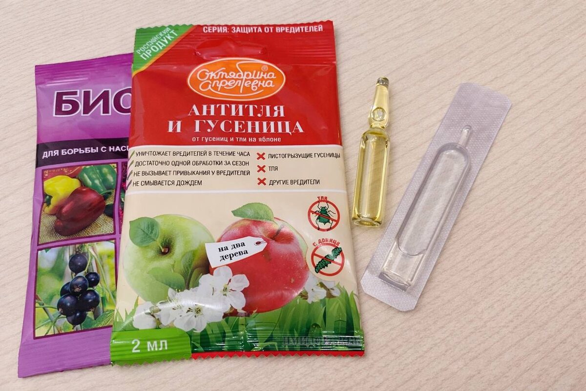 Некоторые препараты продают в ампулах – стеклянных или пластиковых. Фото автора