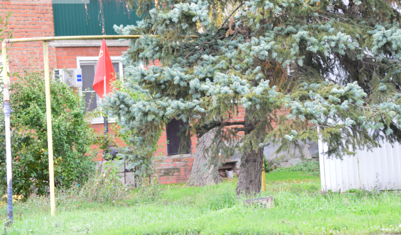 Фото автора. Станица. 