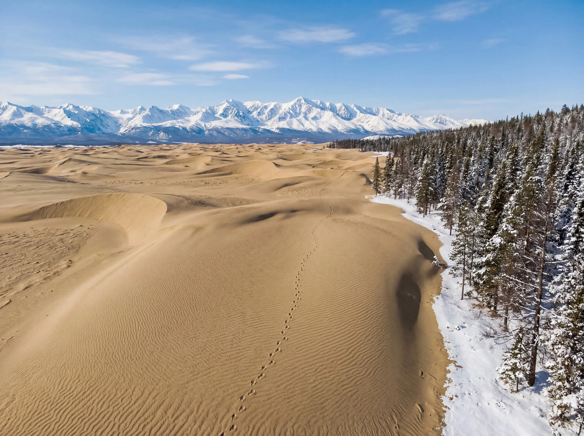 Чарские пески — урочище, представляющее собой песчаный массив, в Каларском районе Забайкальского края.