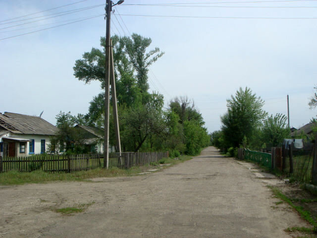 Наша центральная дорога. Наш домик предпоследний справа, но его не видно.