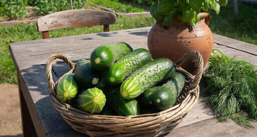    Создано нейросетями