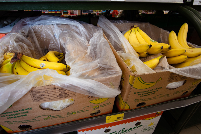 Фото: Екатерина Громова