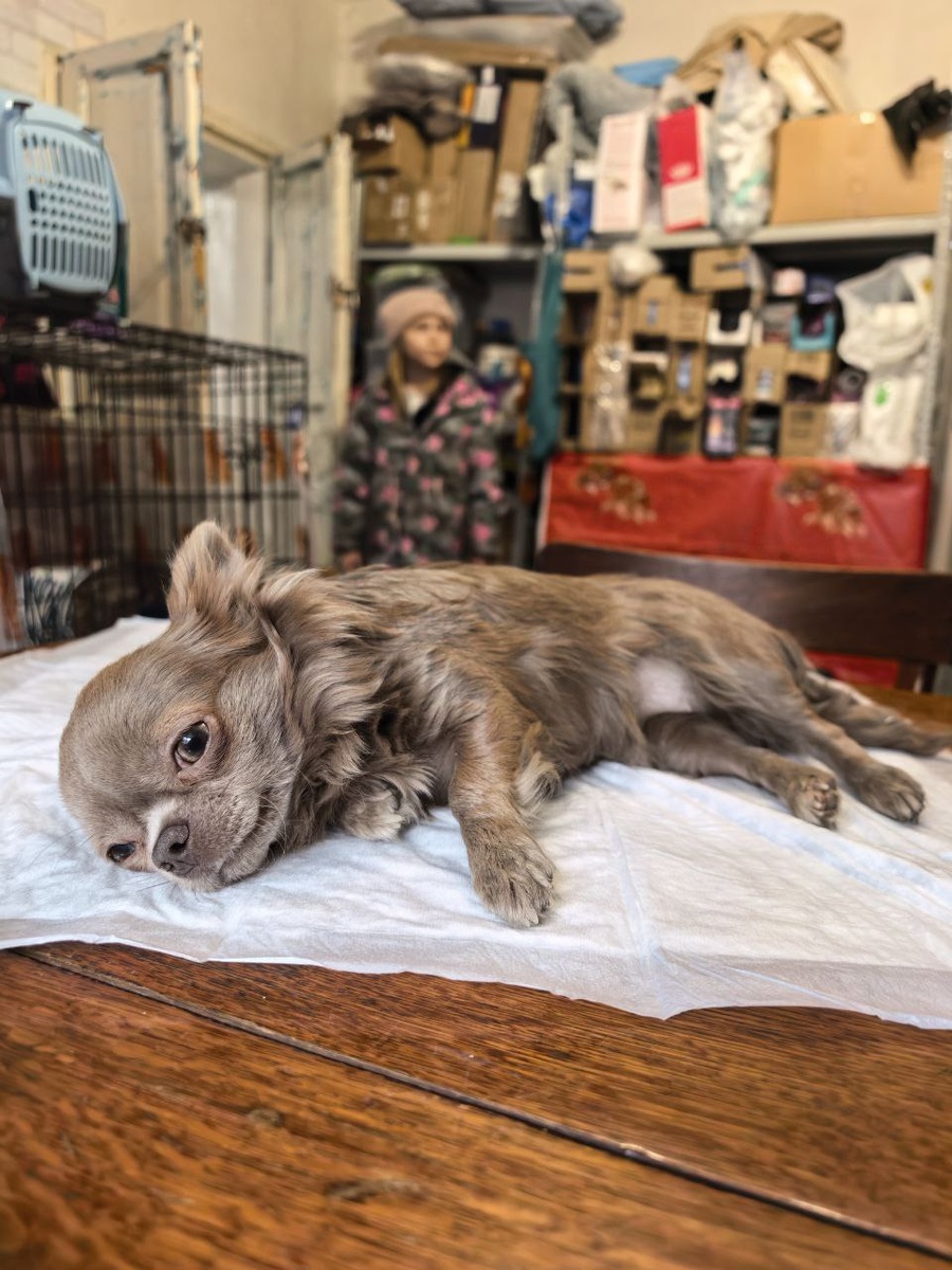 Так и лежала она все время, только изредка моргая. 