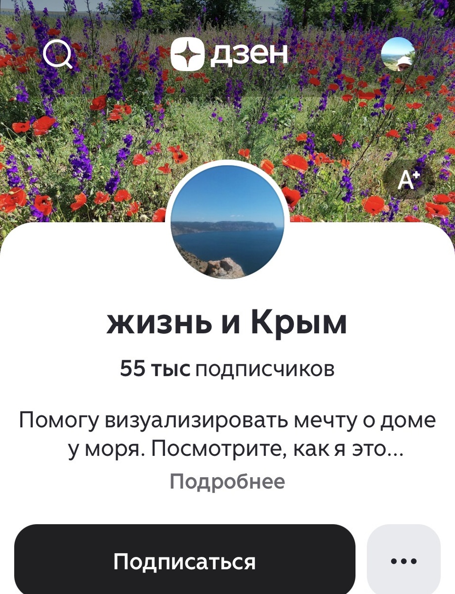 Рондомный скрин с Дзена