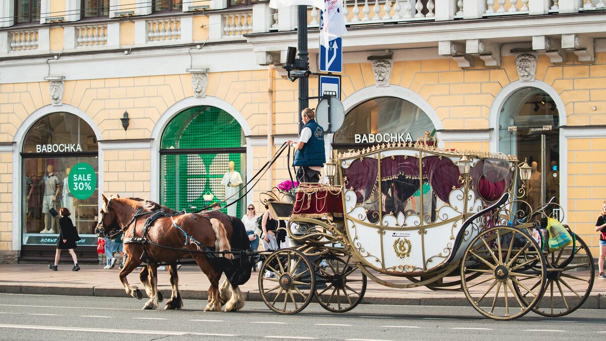    Фото: ИЗВЕСТИЯ/Телеканал «78»