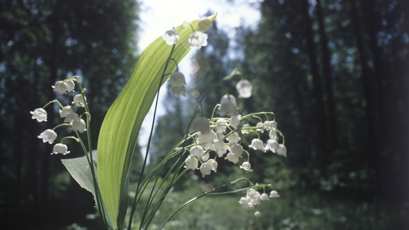   РИА Новости