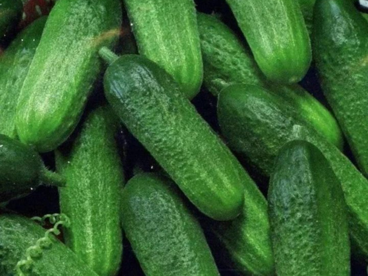 Неприхотливые в уходе, но щедро дающие урожай: именно такие сорта стараемся высаживать на своих дачных участках огородах