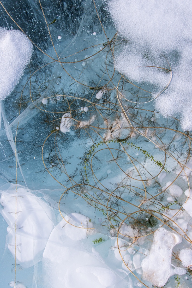 Автор фото: Georgy_zuev