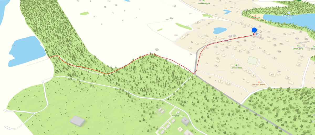 Путь до дикого пляжа в Синявино