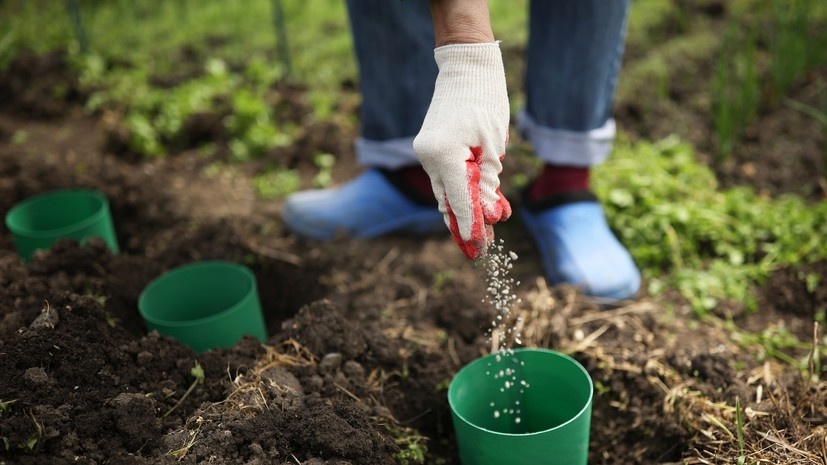   РИА Новости