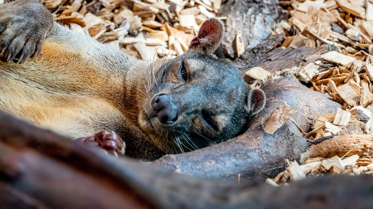 ����� � � ������.