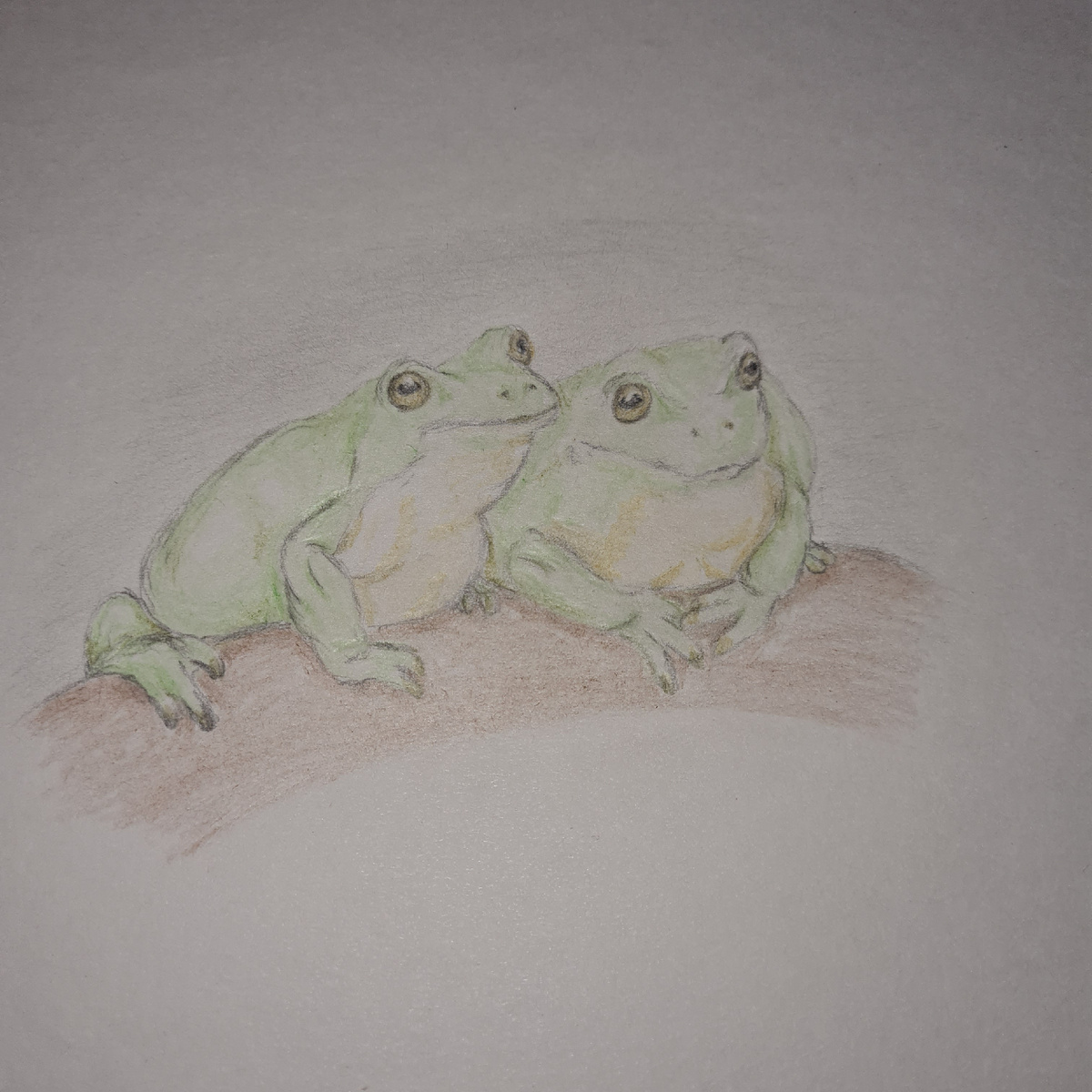 Две лягушки