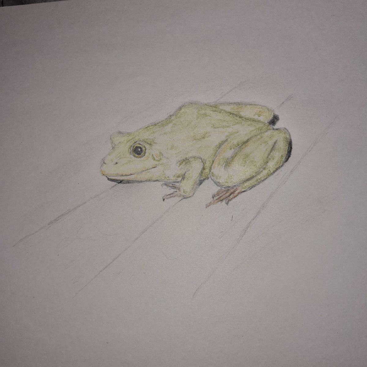 Лягушка, которая не сдалась