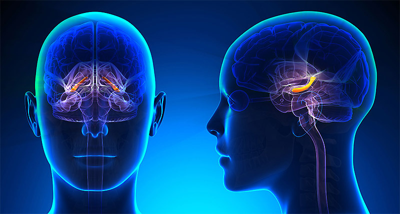 Фото: Pinterest.com