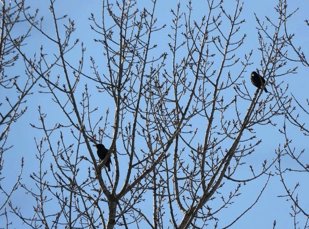     Фото: Анна Давыденко