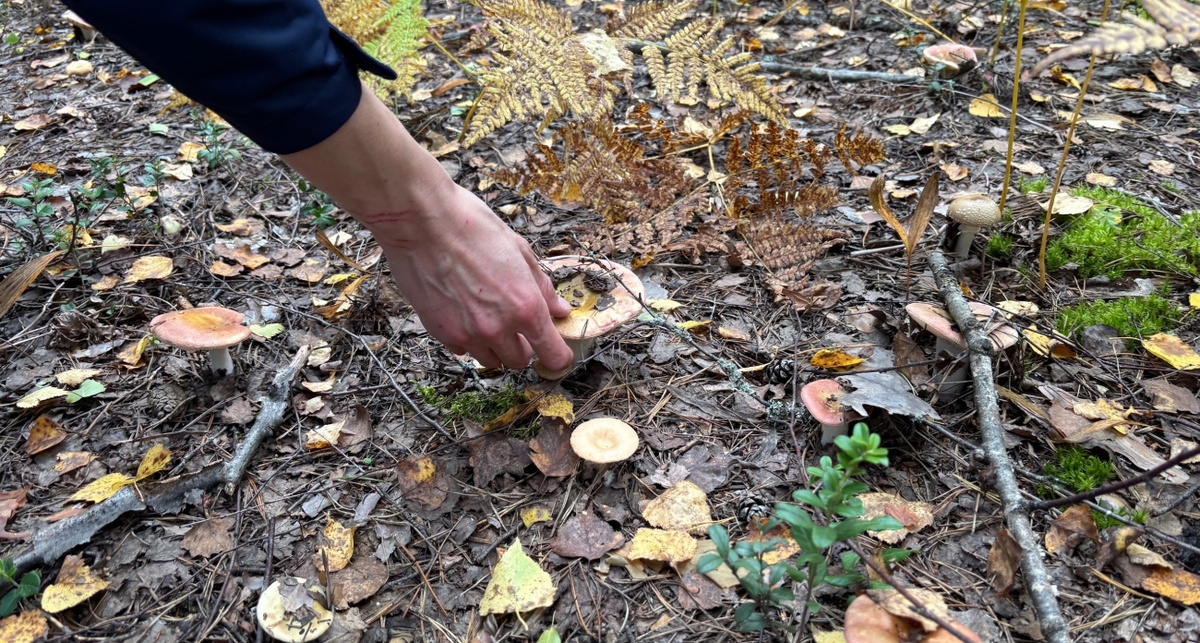    Фото: ПроГород