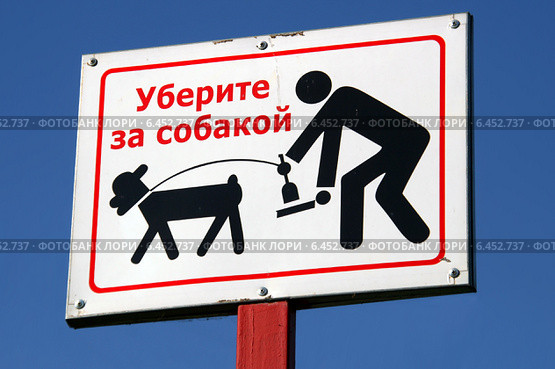 Картинка из открытых источников 