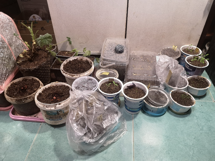 Это только часть посевов