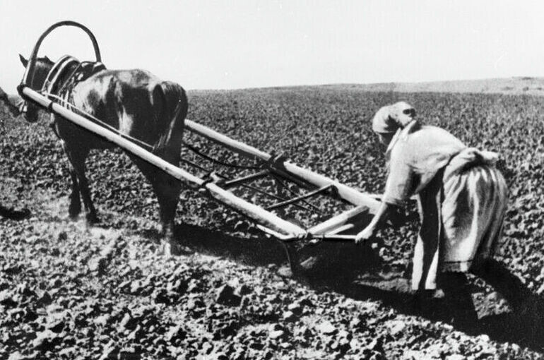   Макс Альперт/РИА Новости