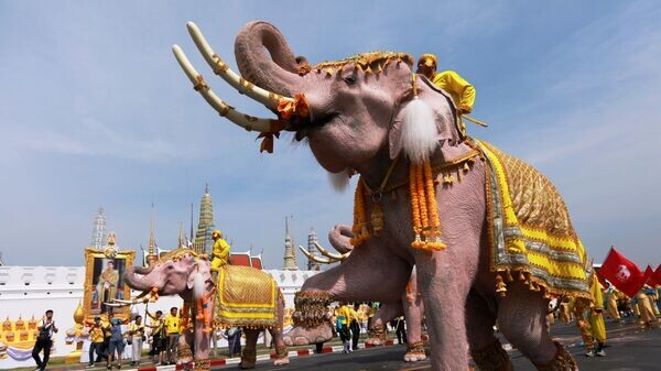    © REUTERS / Soe Zeya Tun