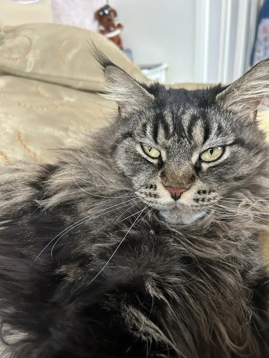 Мали, спустя 3 года💖