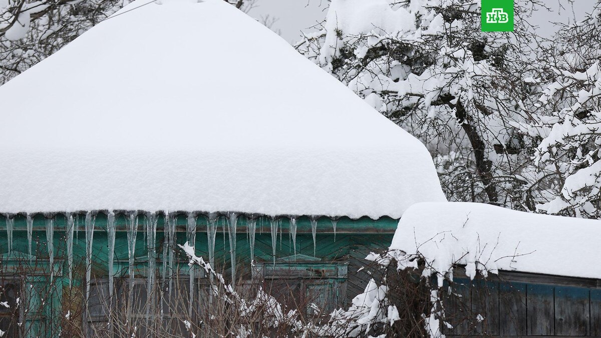    Фото: РИА Новости © 2026, Виталий Тимкив