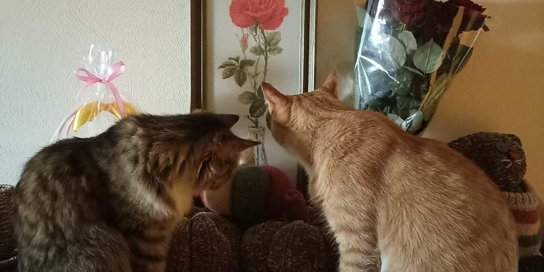 Весенний день на даче