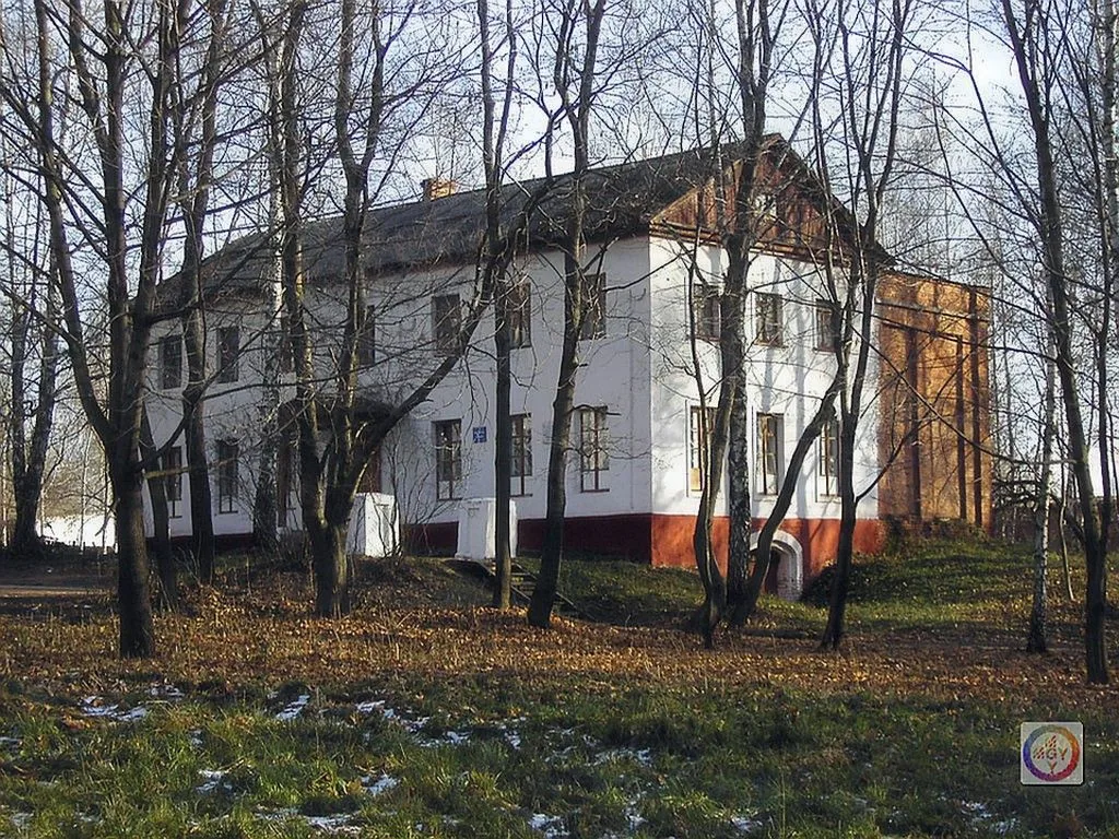 Фотография Г. Мурашова. Здание волостного училища осталось и по сей день. Здесь теперь находится Художественная школа.