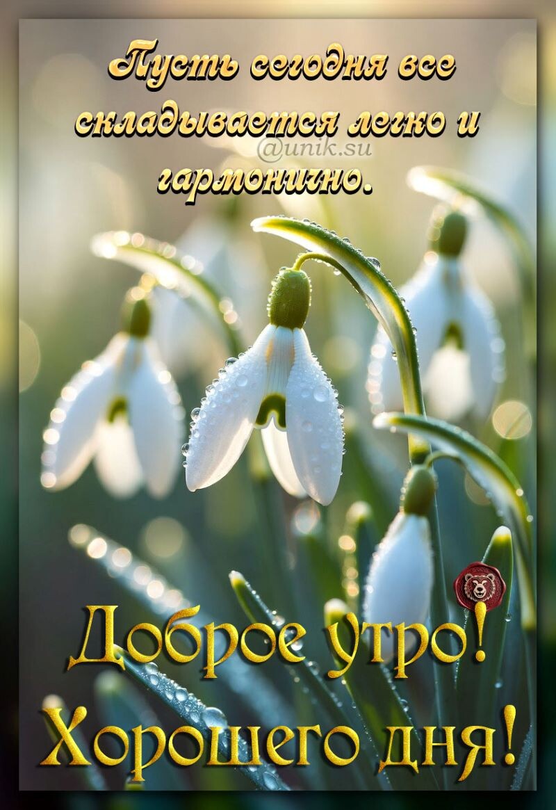 доброе утро хорошего дня картинки пожелания весенние