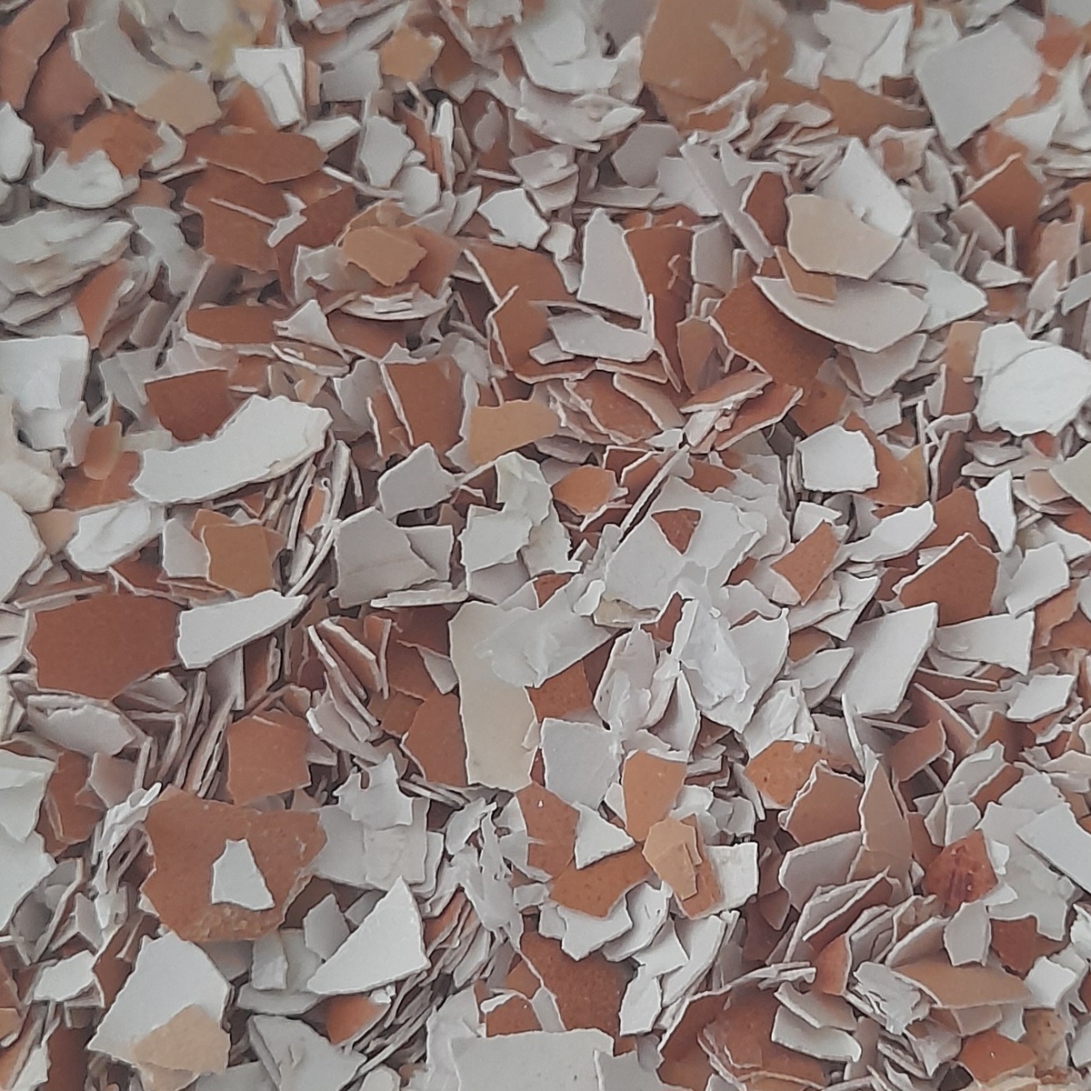 Фото из личного архива автора