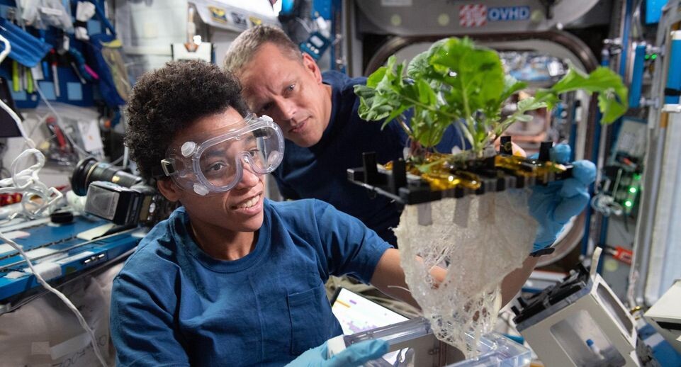    NASA/Keystone Press Agency / www.globallookpress.com