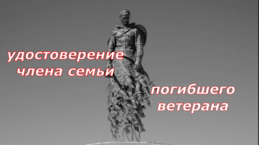 Удостоверение члена семьи погибшего ветерана боевых действий