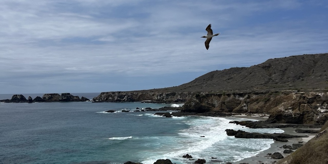 Эквадор: горы и море - и «все включено» за 50 долларов в день