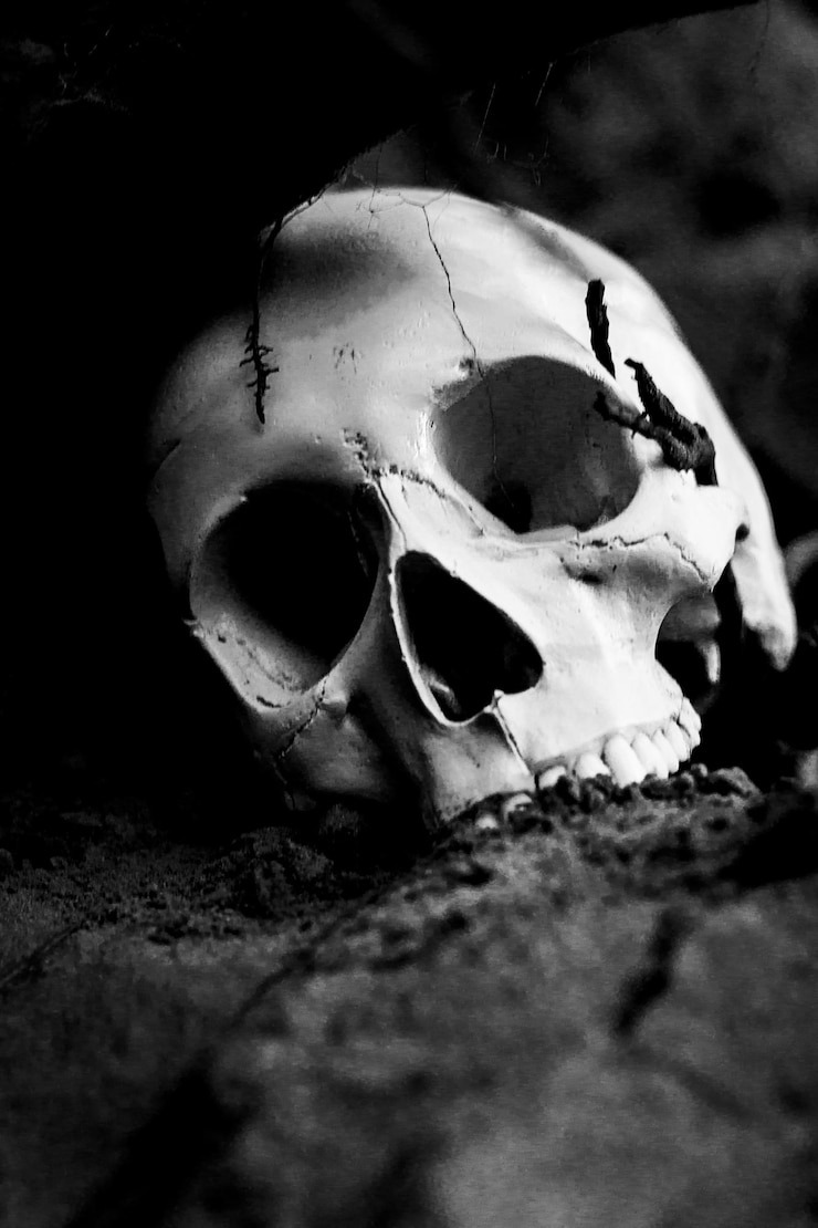 Изображение взято из открытых источников интернета. 