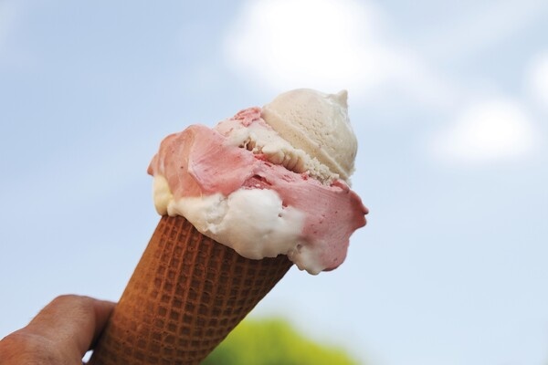 Creativ Studio Heinemann/imageBROKER.com/Global Look Press   📷