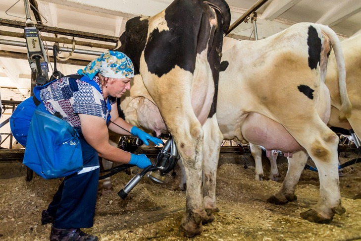    Фото Андрея Заржецкого