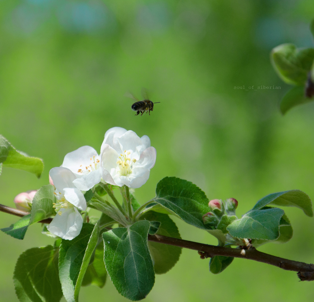 Фото: Кузнецова Анастасия