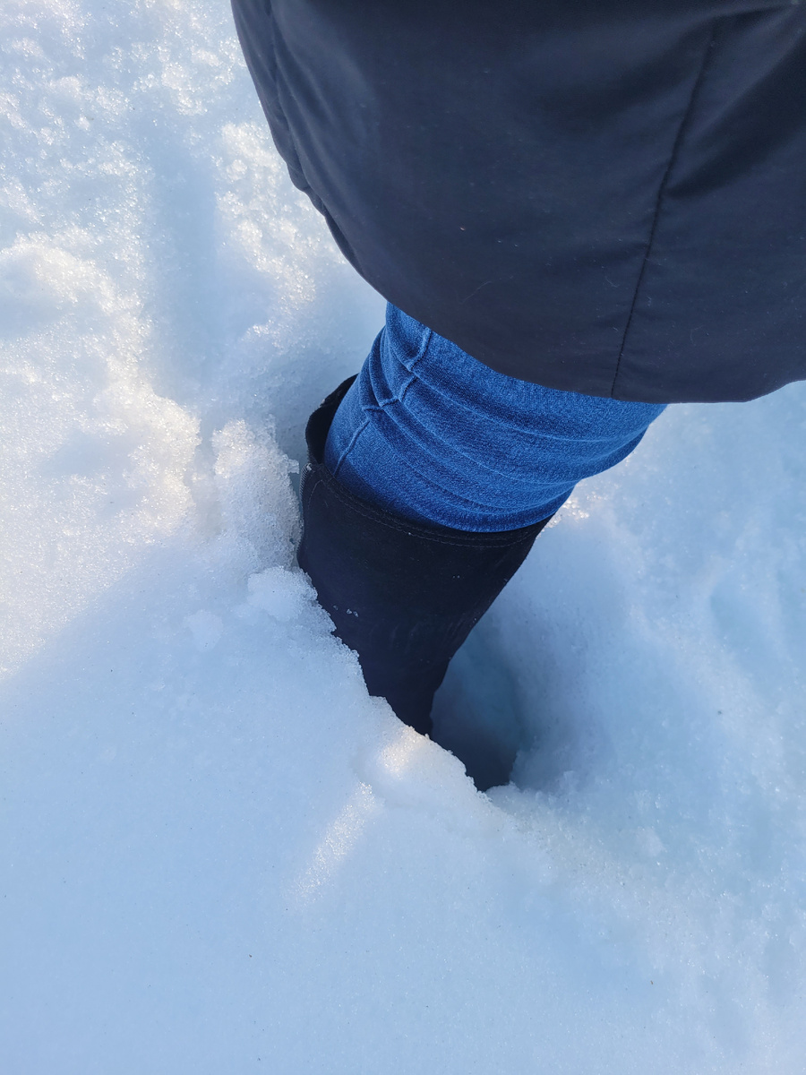 Первые дни нас встретили такими сугробами