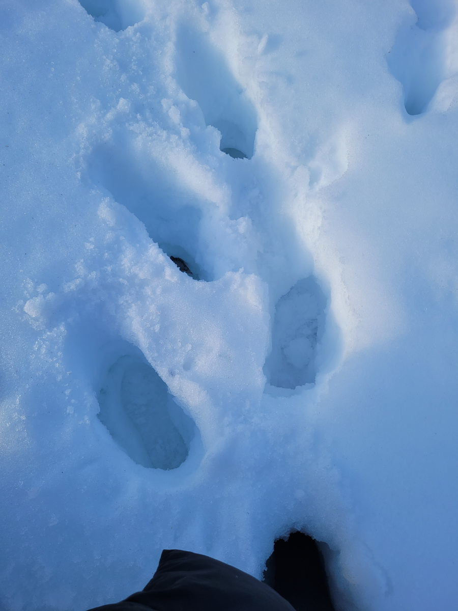 В прямом смысле "по колено"