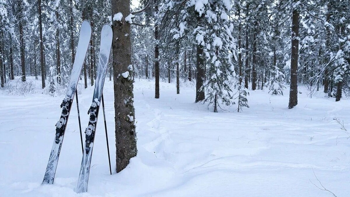    Изображение создано с помощью ИИ