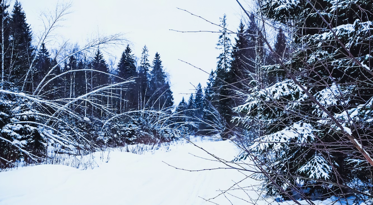     Екатерина Грушевская/Unsplash