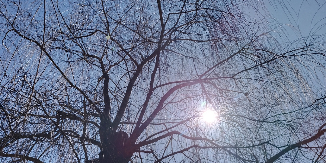 Хочу жить заботами дня. Хочу заниматься домом