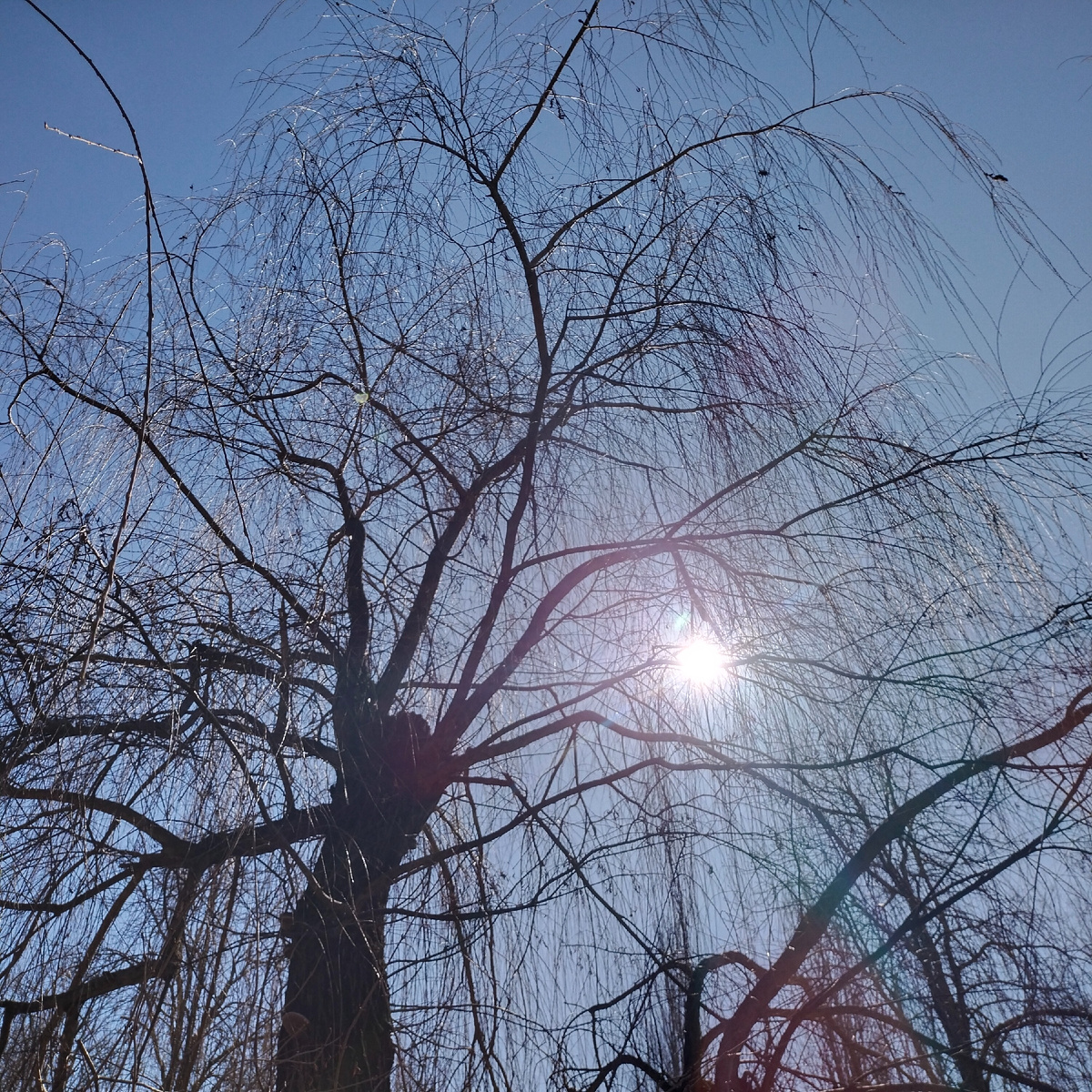 Свети, светило!